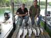(06/06/2018) - Nice Striped Bass